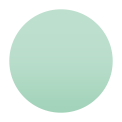 eucalyptus option