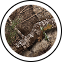 ridge-wallet-realtree-apx selected