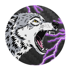 lone-wolf option
