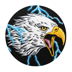 thunderbird option