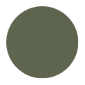 iphone-17-pro-case-matte-olive option