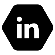 linkedin icon